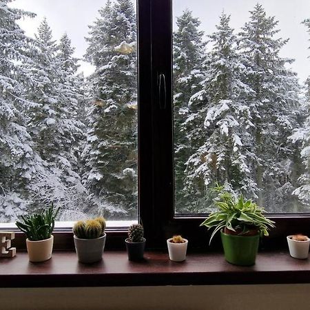 Pine Tree Apartment / Borovets Gardens ภายนอก รูปภาพ