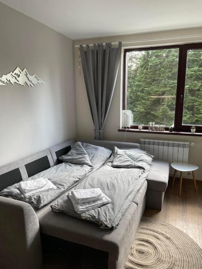 Pine Tree Apartment / Borovets Gardens ภายนอก รูปภาพ