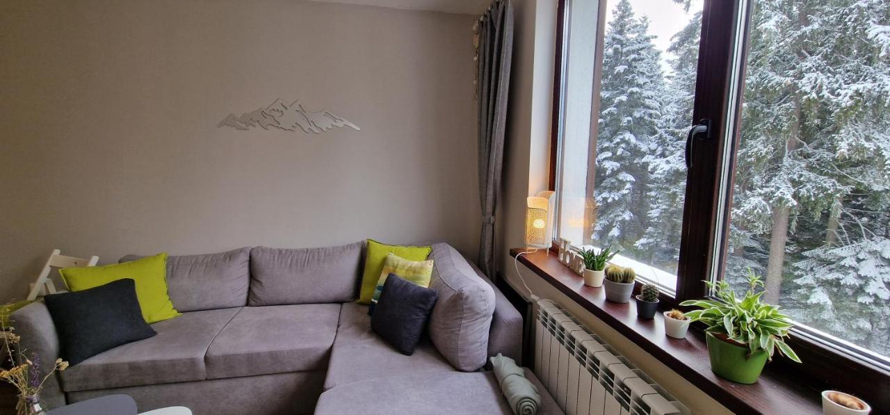 Pine Tree Apartment / Borovets Gardens ภายนอก รูปภาพ